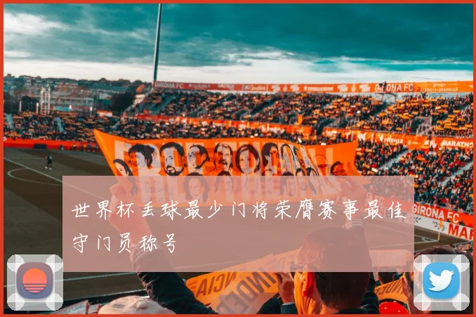 世界杯丢球最少门将荣膺赛事最佳守门员称号