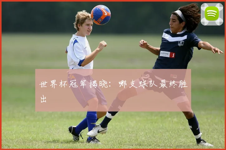 世界杯冠军揭晓：哪支球队最终胜出